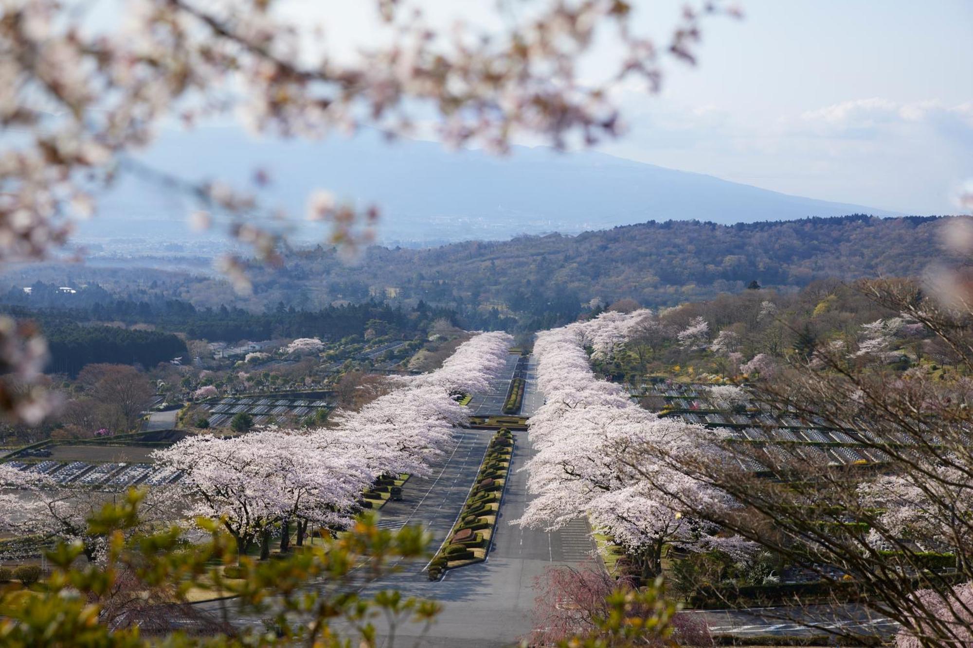 Fuji Speedway Hotel, In The Unbound Collection By Hyatt Oyama  Eksteriør bilde
